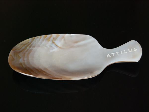 Mother of Pearl Dish